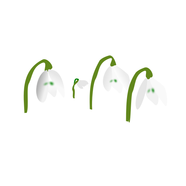 SVG snowdrops