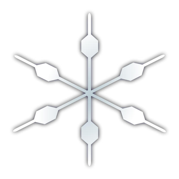 SVG Snowflake icon vector image