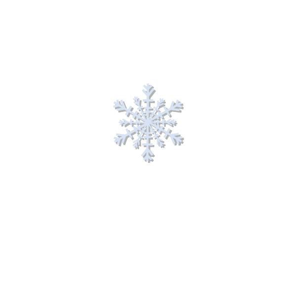 SVG Snowflake vector icon