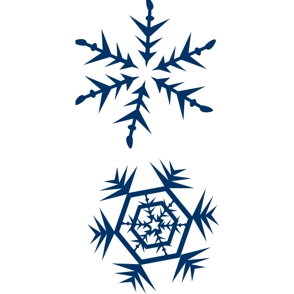 SVG Snowflakes vector image
