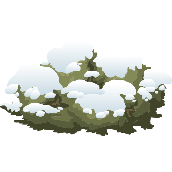 SVG Snowy bush vector image