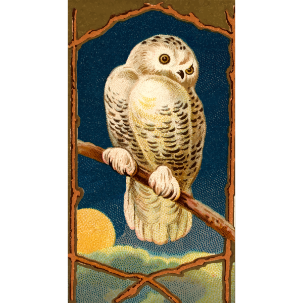 SVG Snowy owl