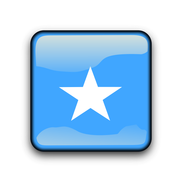 SVG so