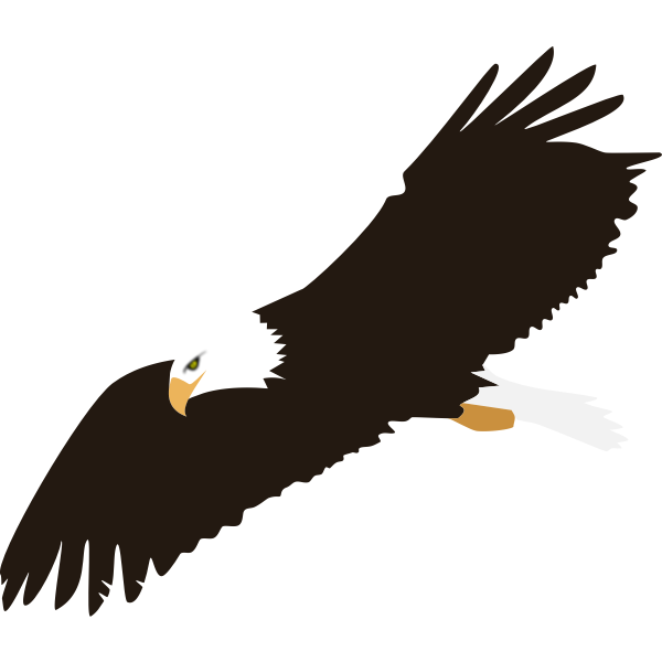 SVG Soaring eagle