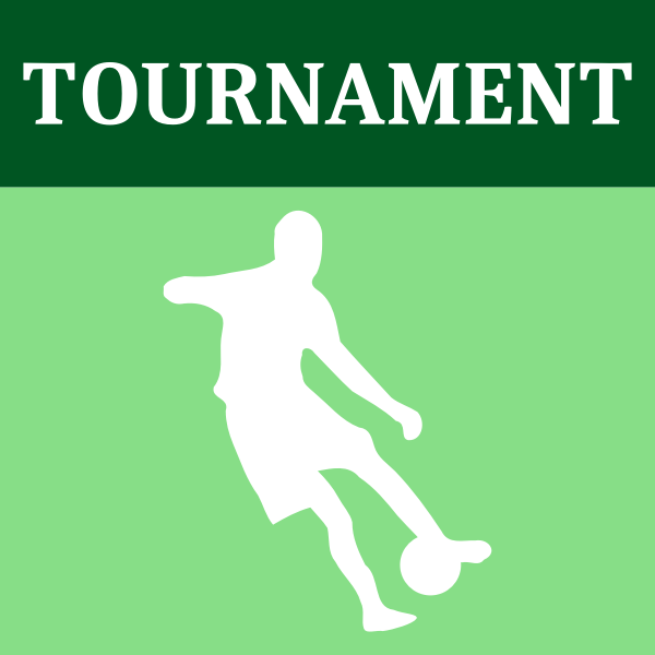 SVG Soccer tournament icon vector image