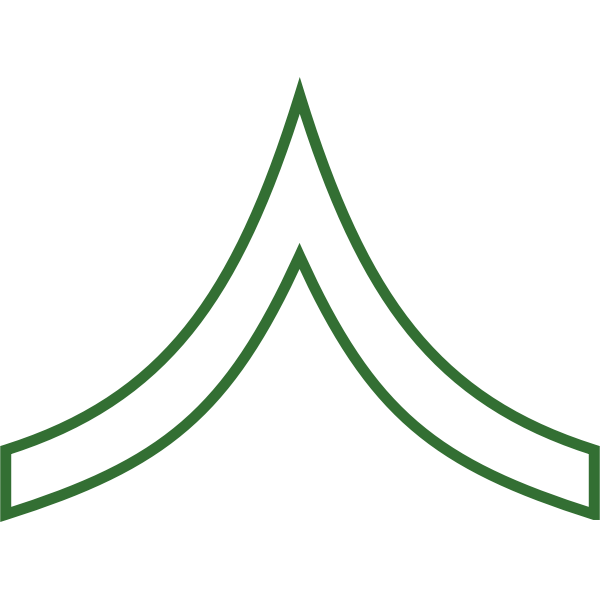 SVG Soldier insignia vector image