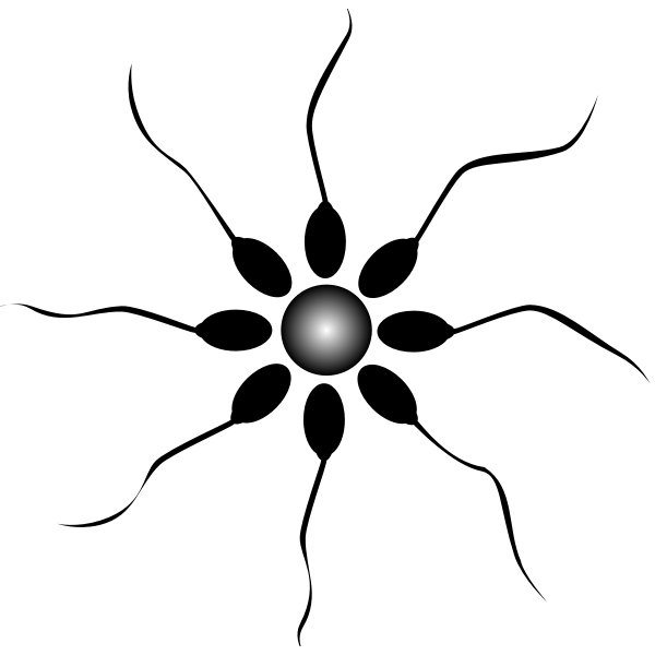 SVG Sperm and egg