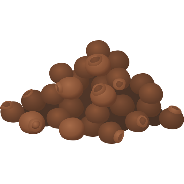 SVG spice all spice