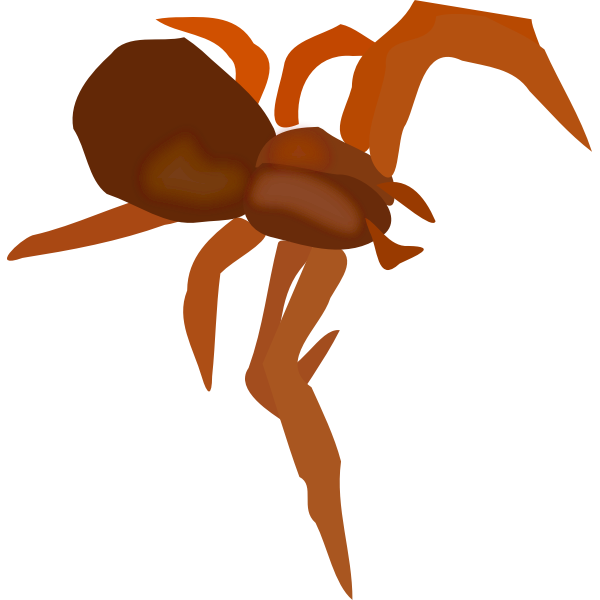 SVG Spider