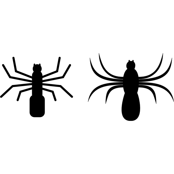 SVG spider aranya