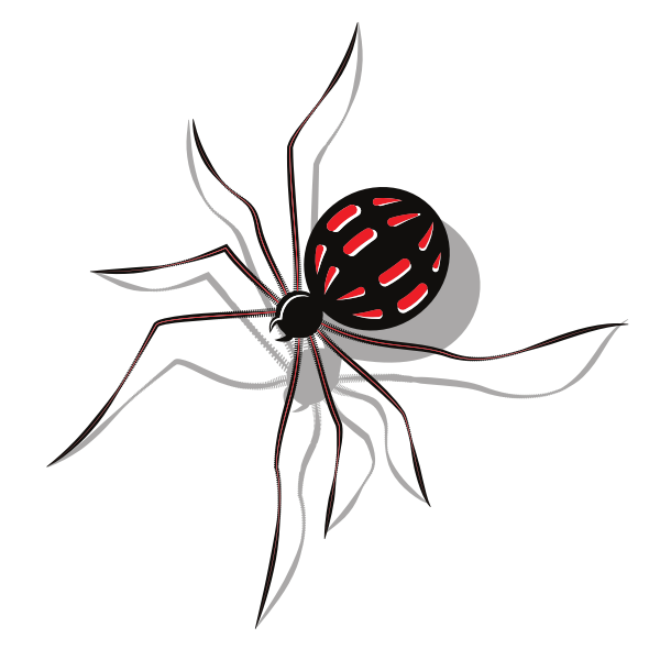 SVG Spider insect