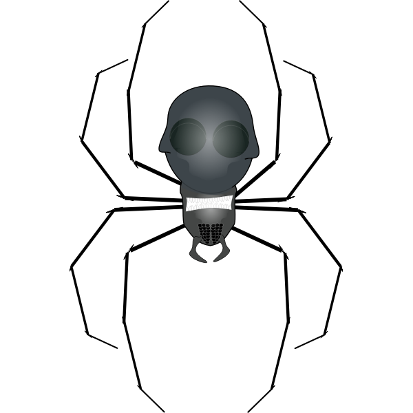 SVG Spider insect vector