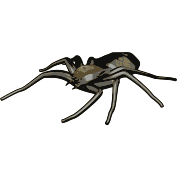 SVG Spider vector clip art
