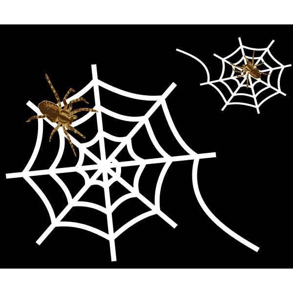 SVG Spider web-1573140488