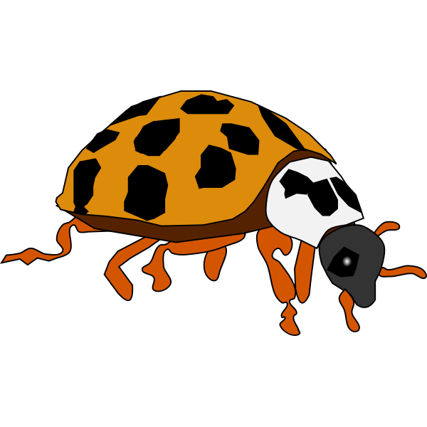 SVG Spotted Beetle