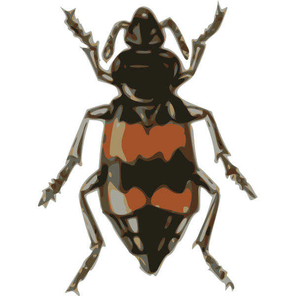 SVG spotted sexton beetle necrophorus guttatus
