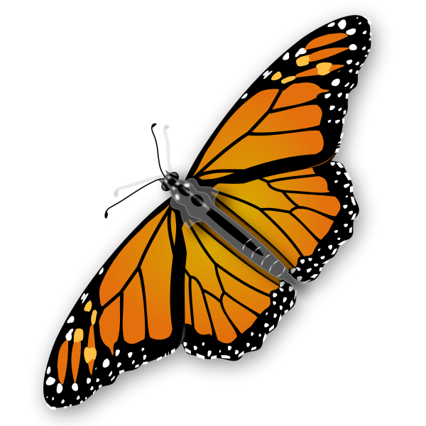 SVG Spotty butterfly vector graphics