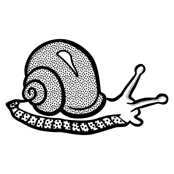 SVG Spotty snail line art vector image