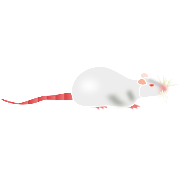 SVG Sprague Dawley