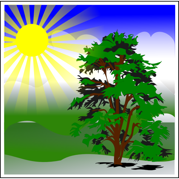 SVG spring
