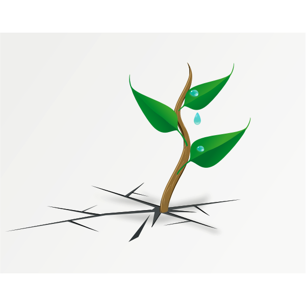 SVG Spring is coming