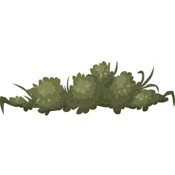 SVG Spring plant