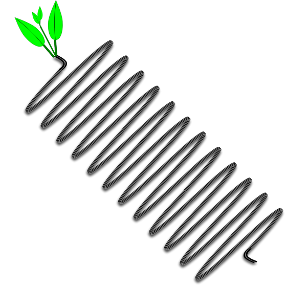 SVG Spring2