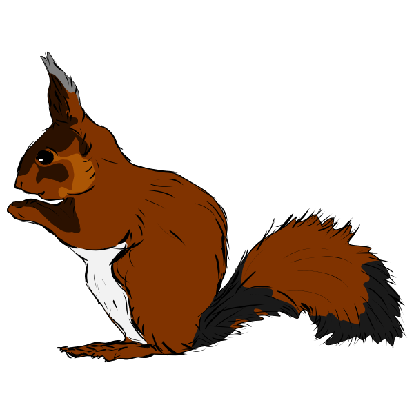 SVG Squirrel-1571484848