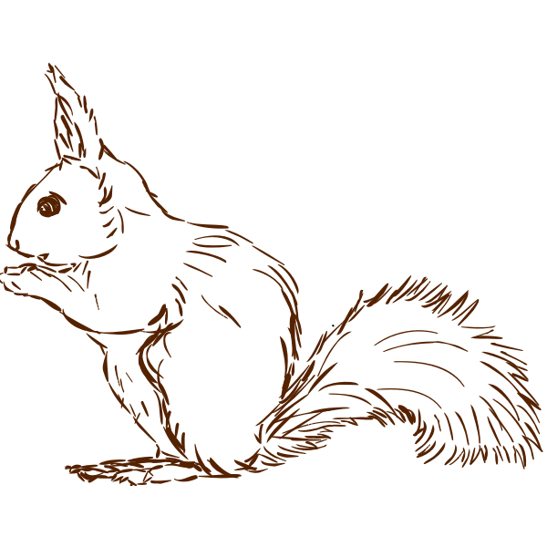 SVG Squirrel-1577295996