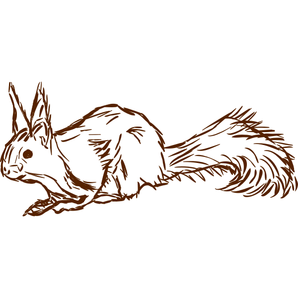 SVG Squirrel-1577296055