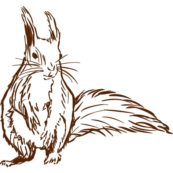 SVG Squirrel-1577296081