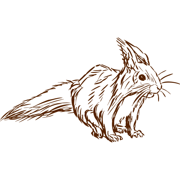 SVG Squirrel-1577296185