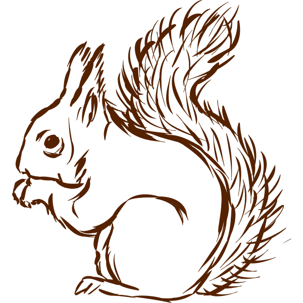 SVG Squirrel-1577296289