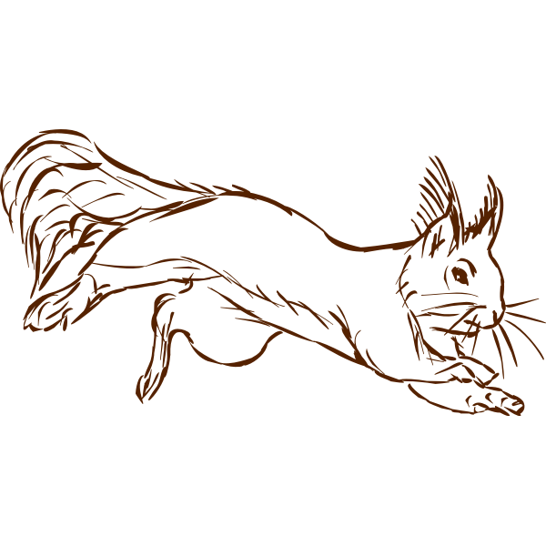 SVG Squirrel-1577296318