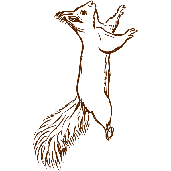 SVG Squirrel-1577296381
