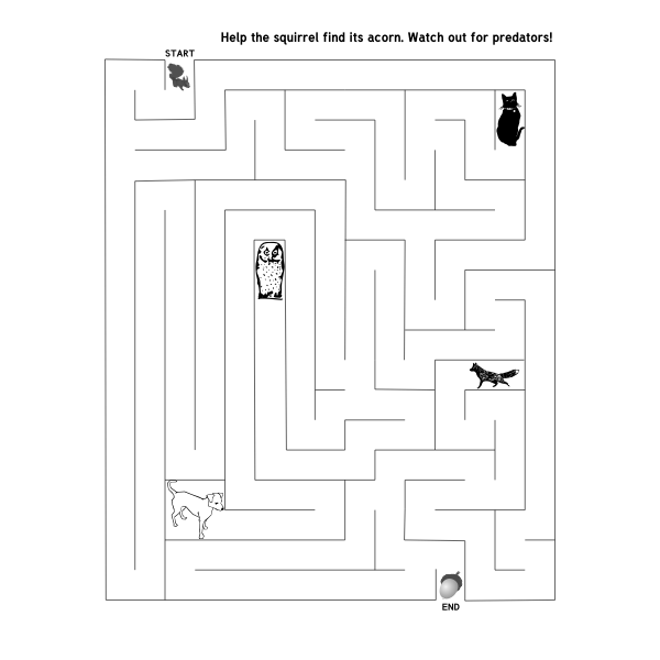 SVG Squirrel Maze