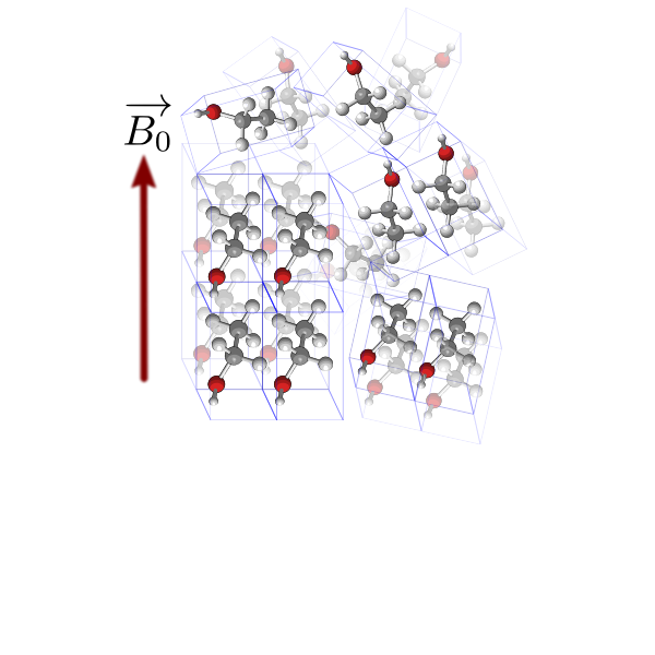 SVG ssNMR partially ordered material