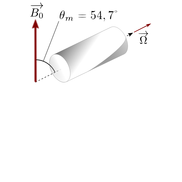SVG ssNMR spinning rotor