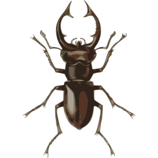 SVG stag beetle lucanus elephas