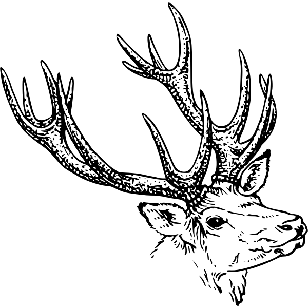 SVG stag head