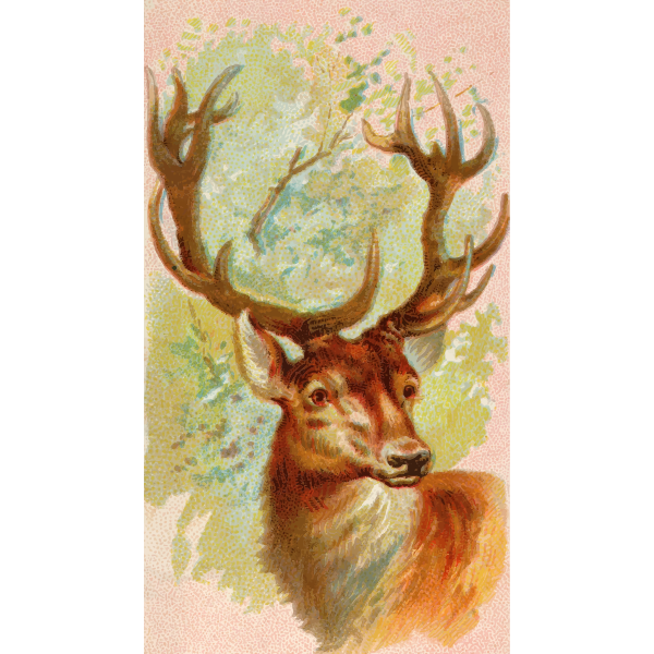 SVG Stag image