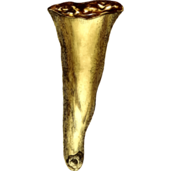 SVG Stalactite
