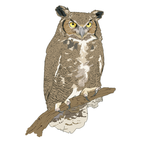 SVG Standing owl