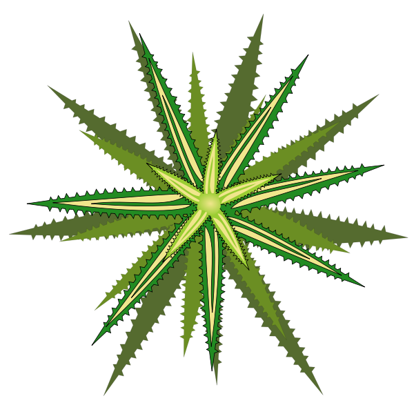 SVG Star plant