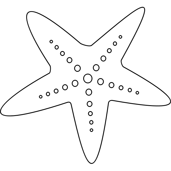 SVG Starfish drawing