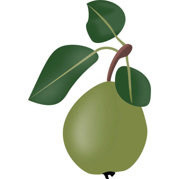SVG stewed pear with leafs