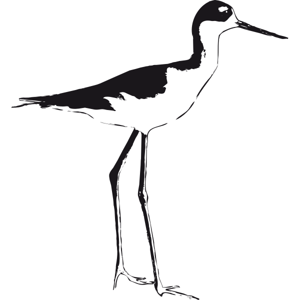 SVG Stilt vector graphics
