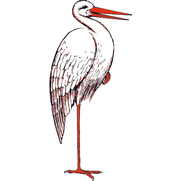 SVG stork