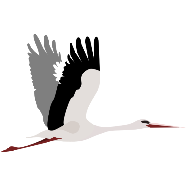 SVG Stork fly