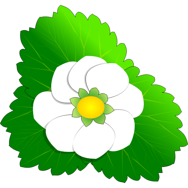 SVG Strawberry Flower